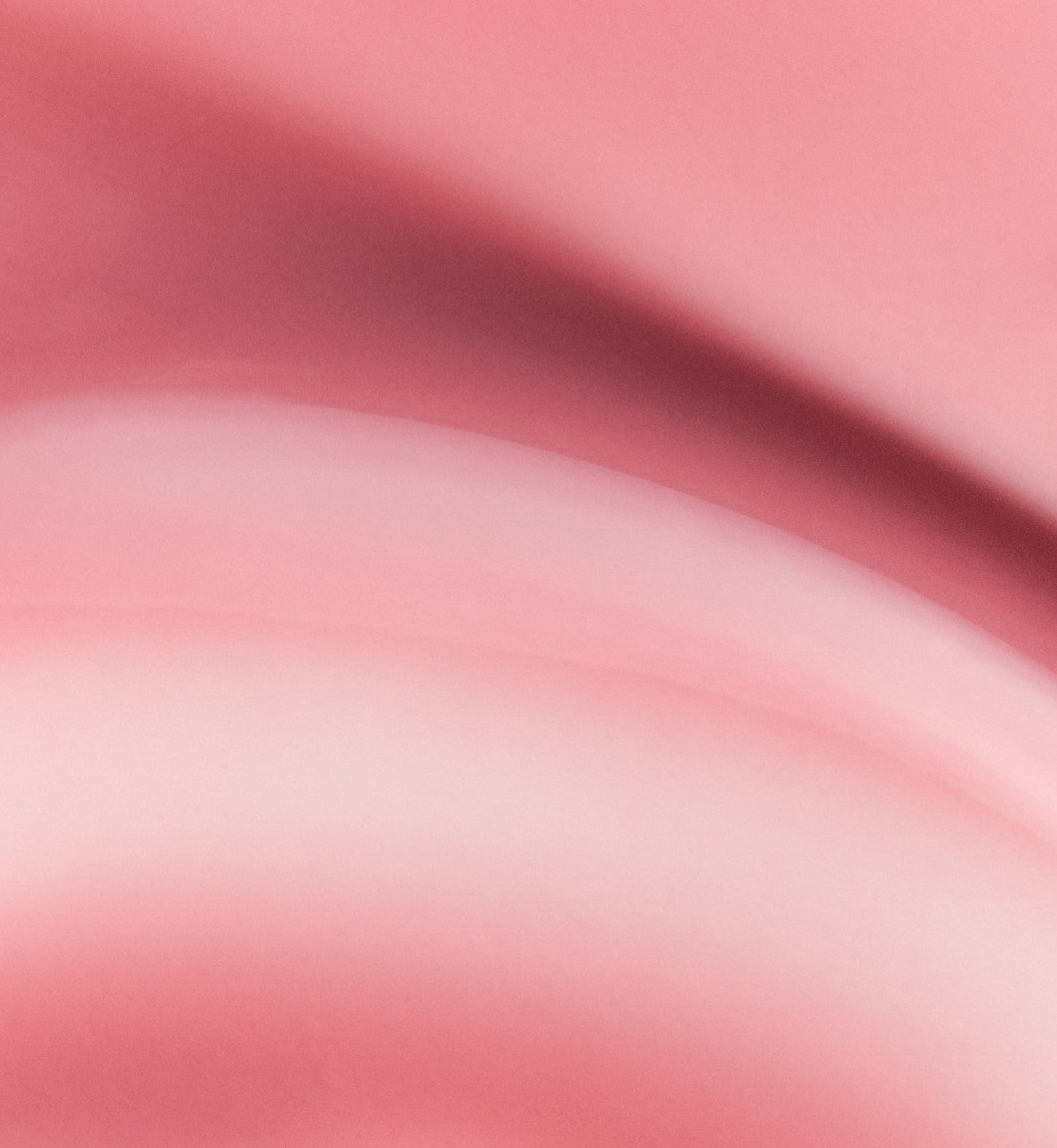 Rhode Peptide Lip Tint 'ribbon - sheer pink'