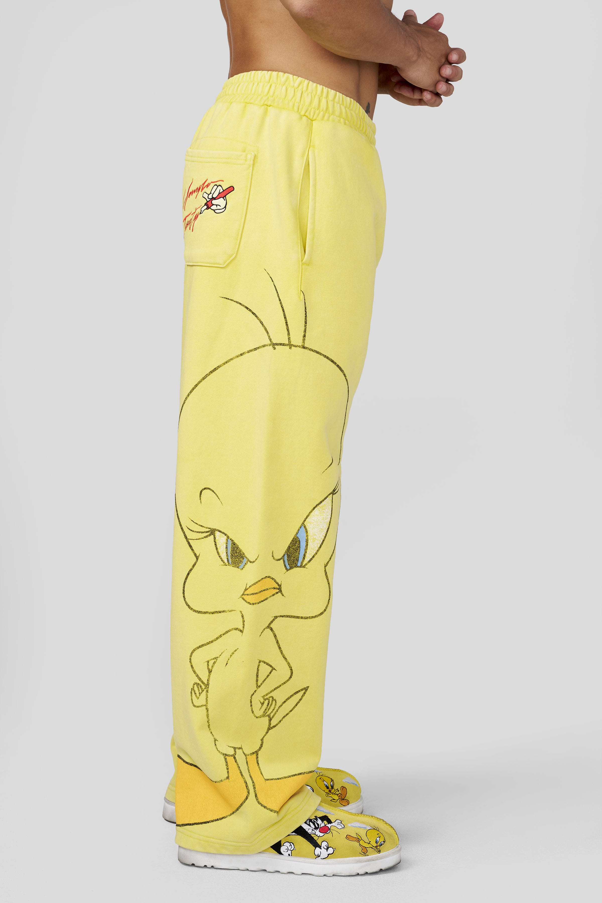 Young La 2169 - Looney Tunes Character Sweats 'Tweety Y'
