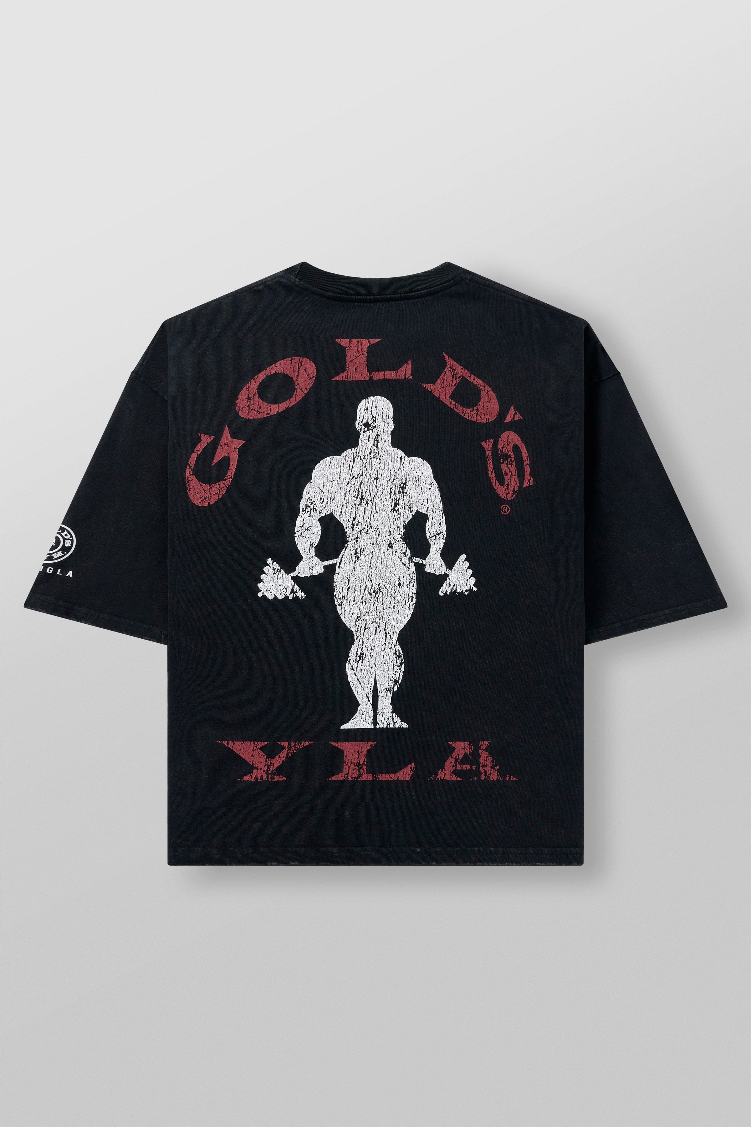 Young La 4002 - Golds Gym New Age Tees 'Black'
