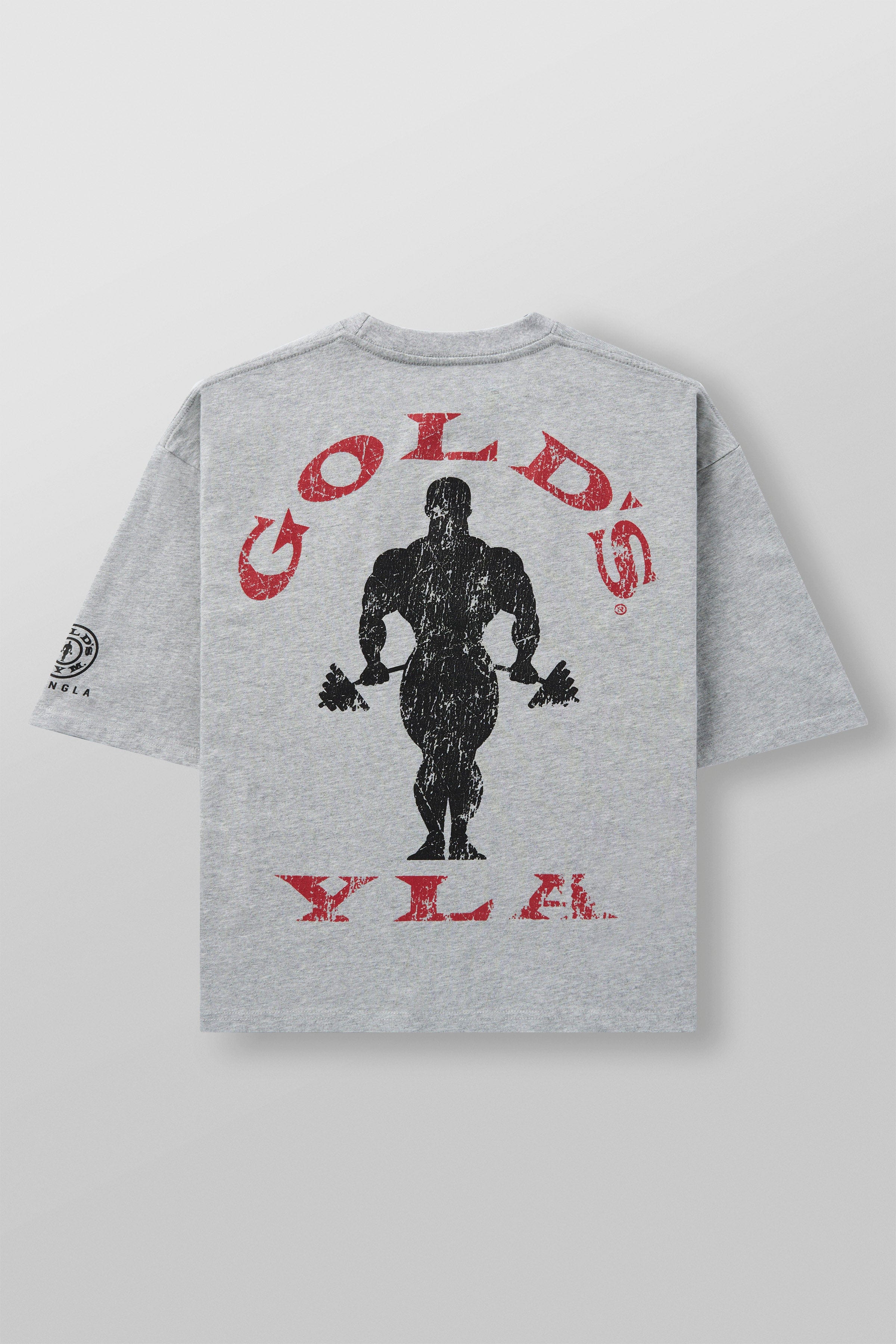YoungLA 4002 - Golds Gym New Age Tees 'Heather Grey'