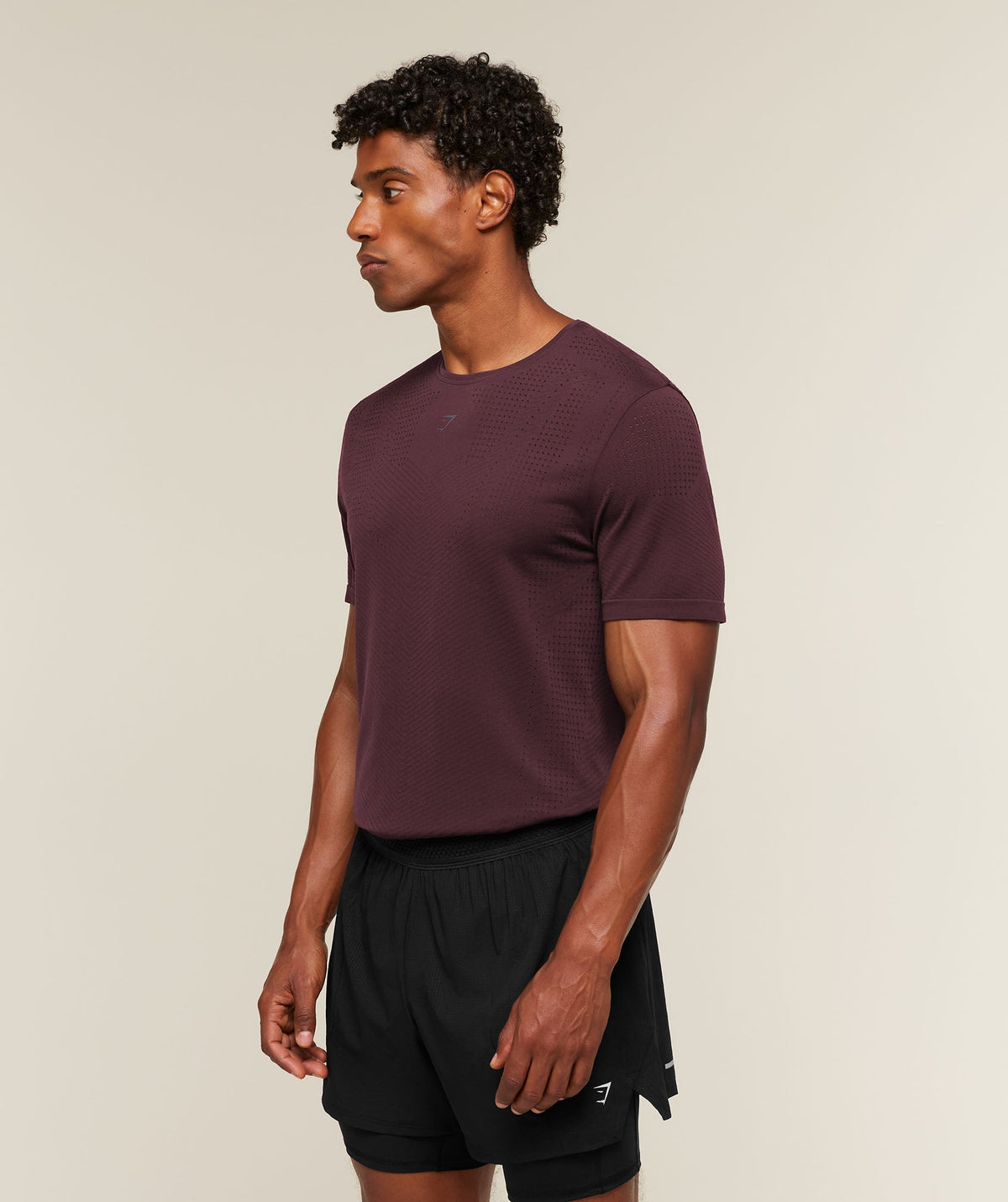 Gymshark Seamless Running T-Shirt 'Cherry Purple'