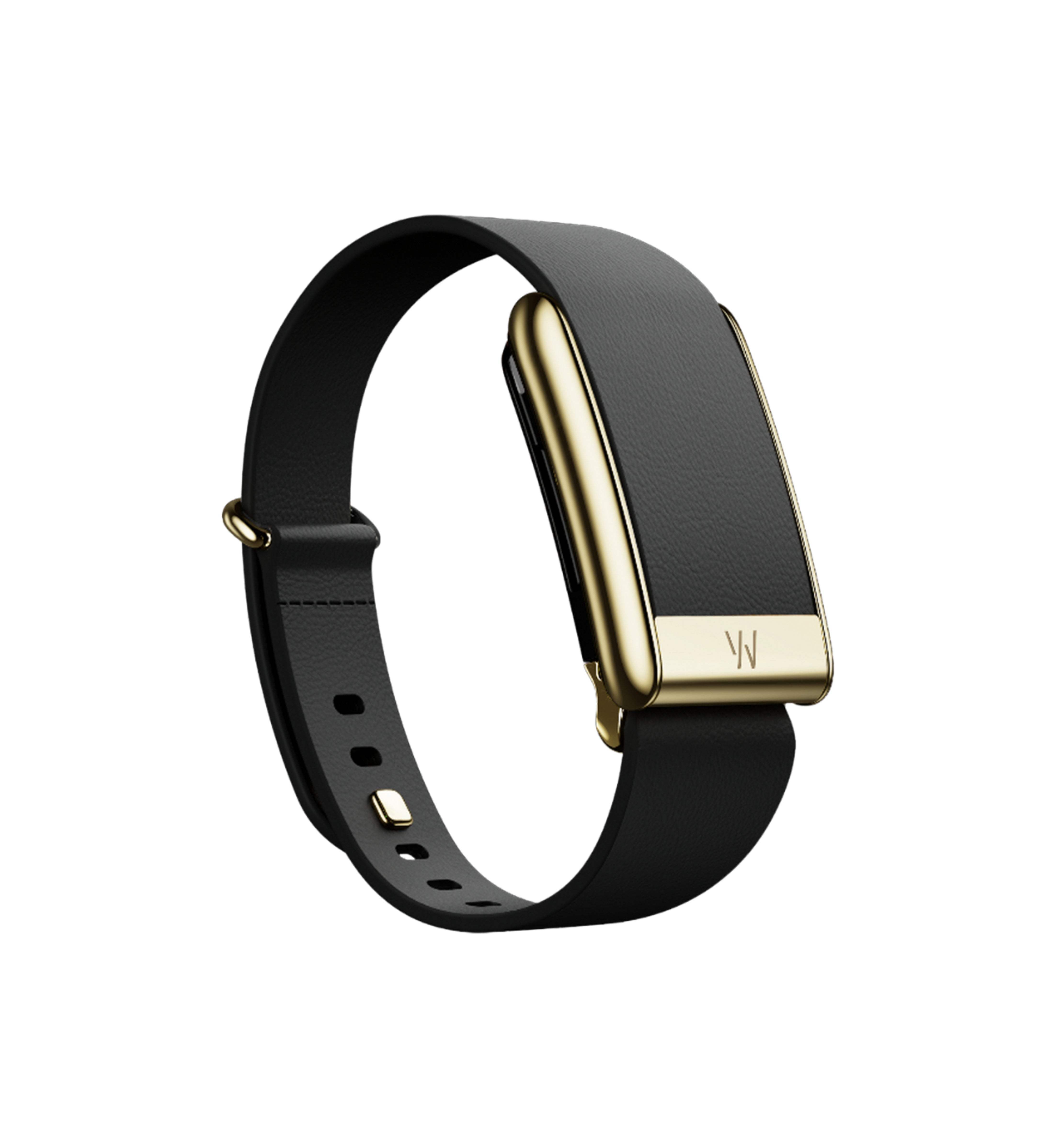 Whoop 5.0 Leatherluxe 5.0 Peak Black with Gold Band (Strap Only)