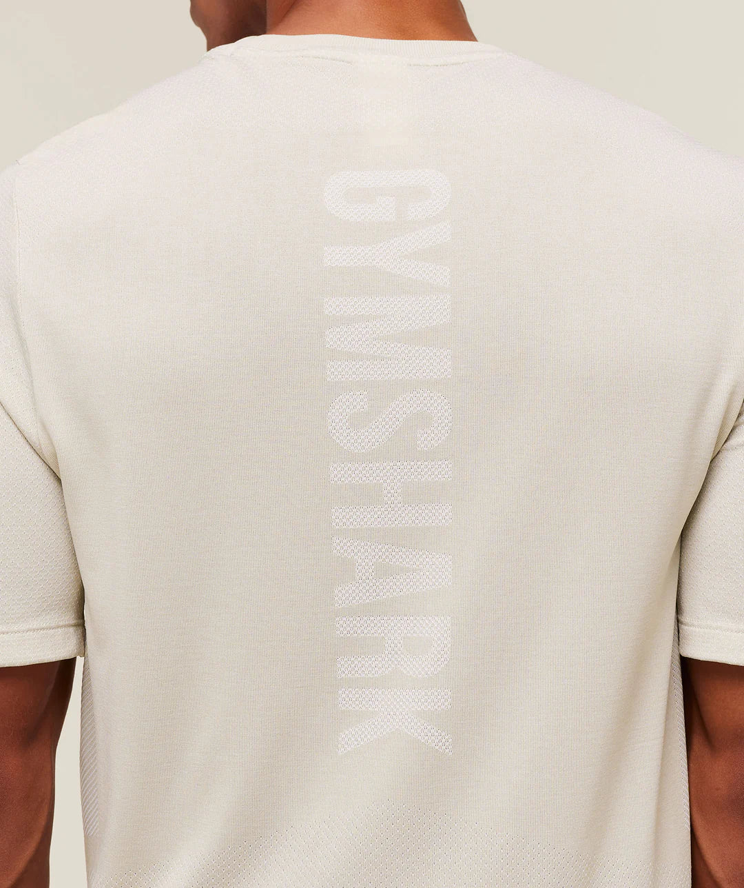 Gymshark Lightweight Seamless T-Shirt 'Pebble Grey/White'