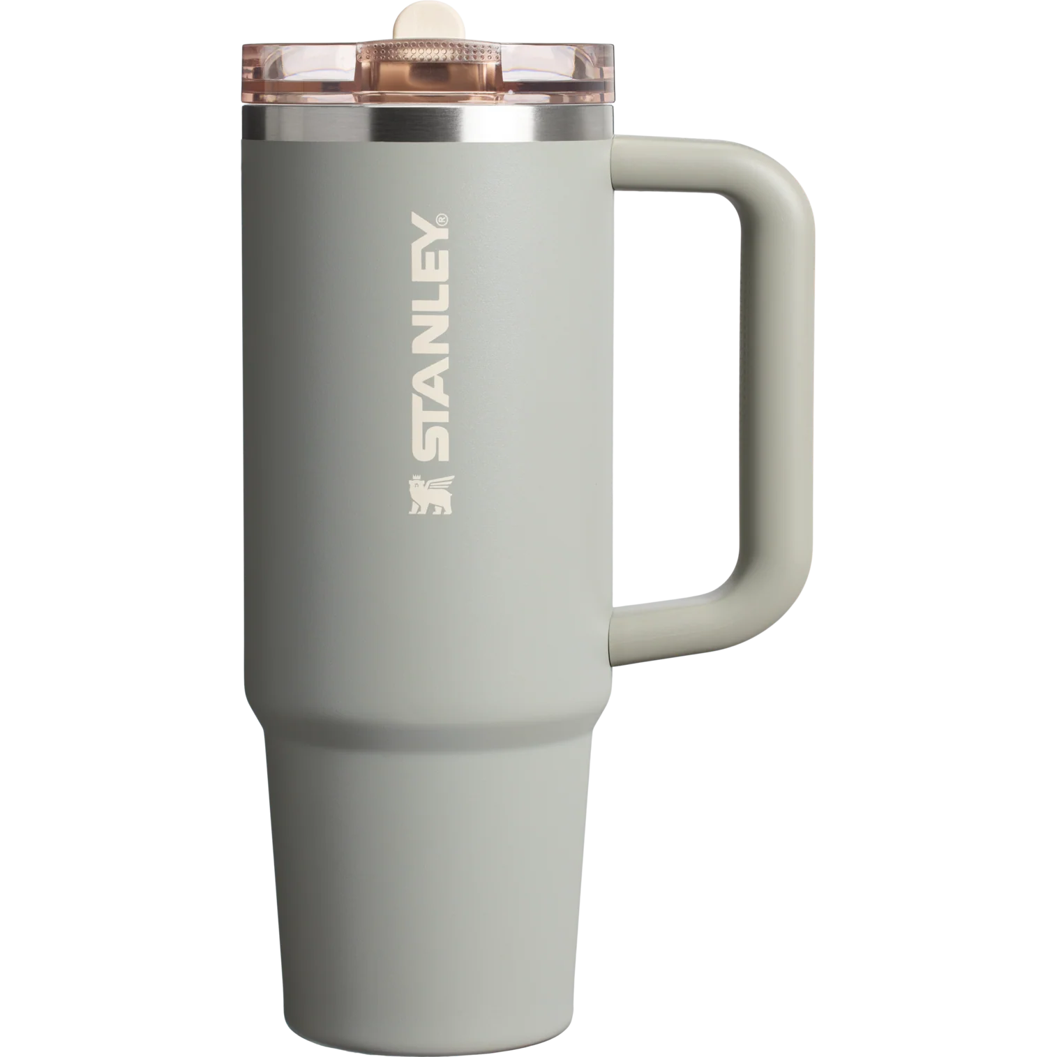 Stanley The Quencher ProTour Flip Straw Tumbler | 30 OZ Sage Grey