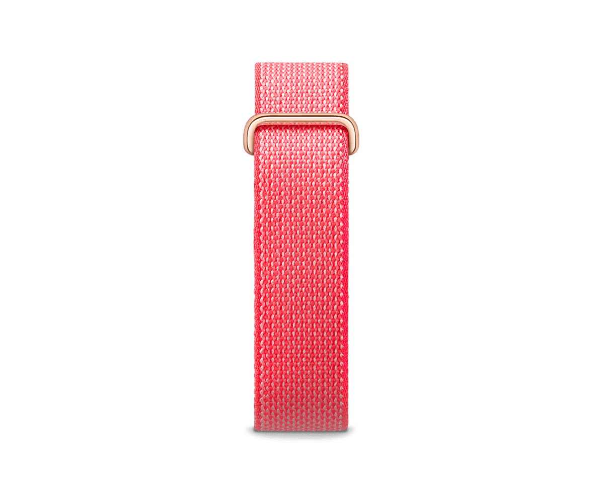 Google Fitbit Air 'Berry'