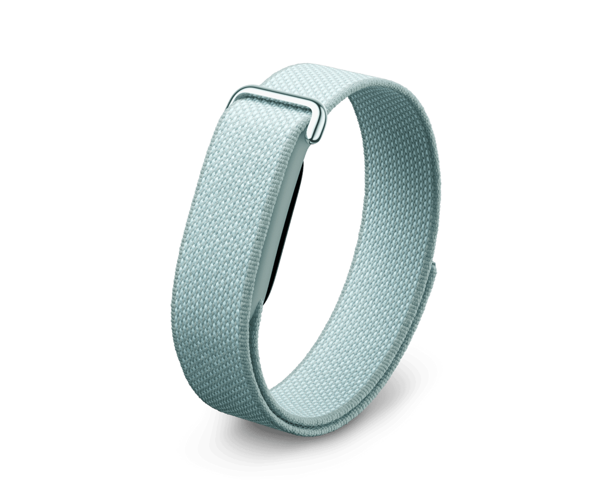 Google Fitbit Air 'Fog'