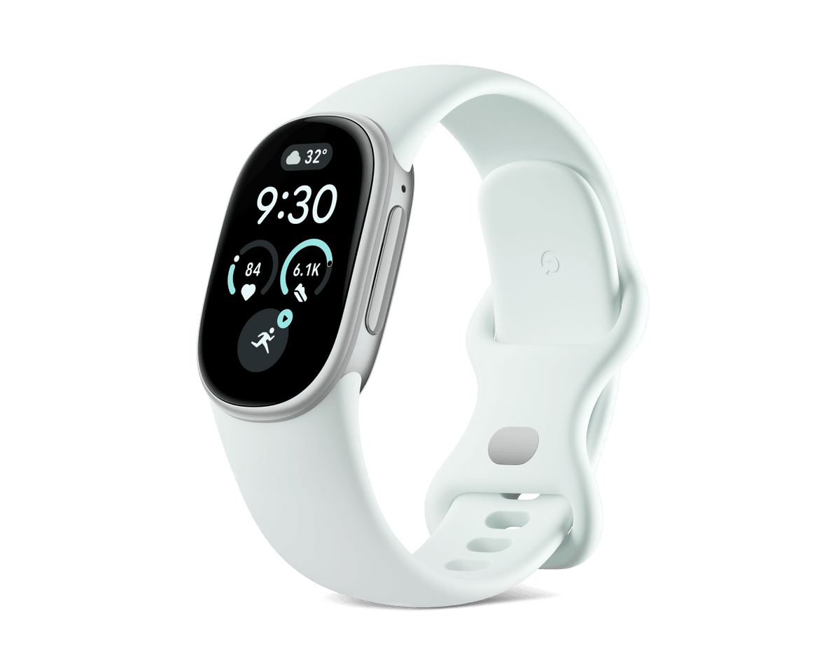 Google Fitbit Edge 'Satin Silver Aluminum Case / Fog Active Band'