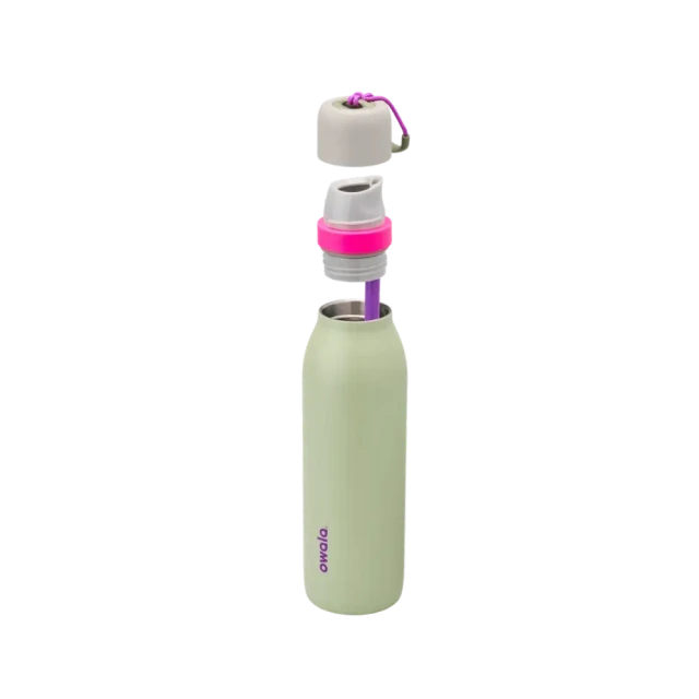 Owala Freesip-Twist 18oz "Neo Sage"
