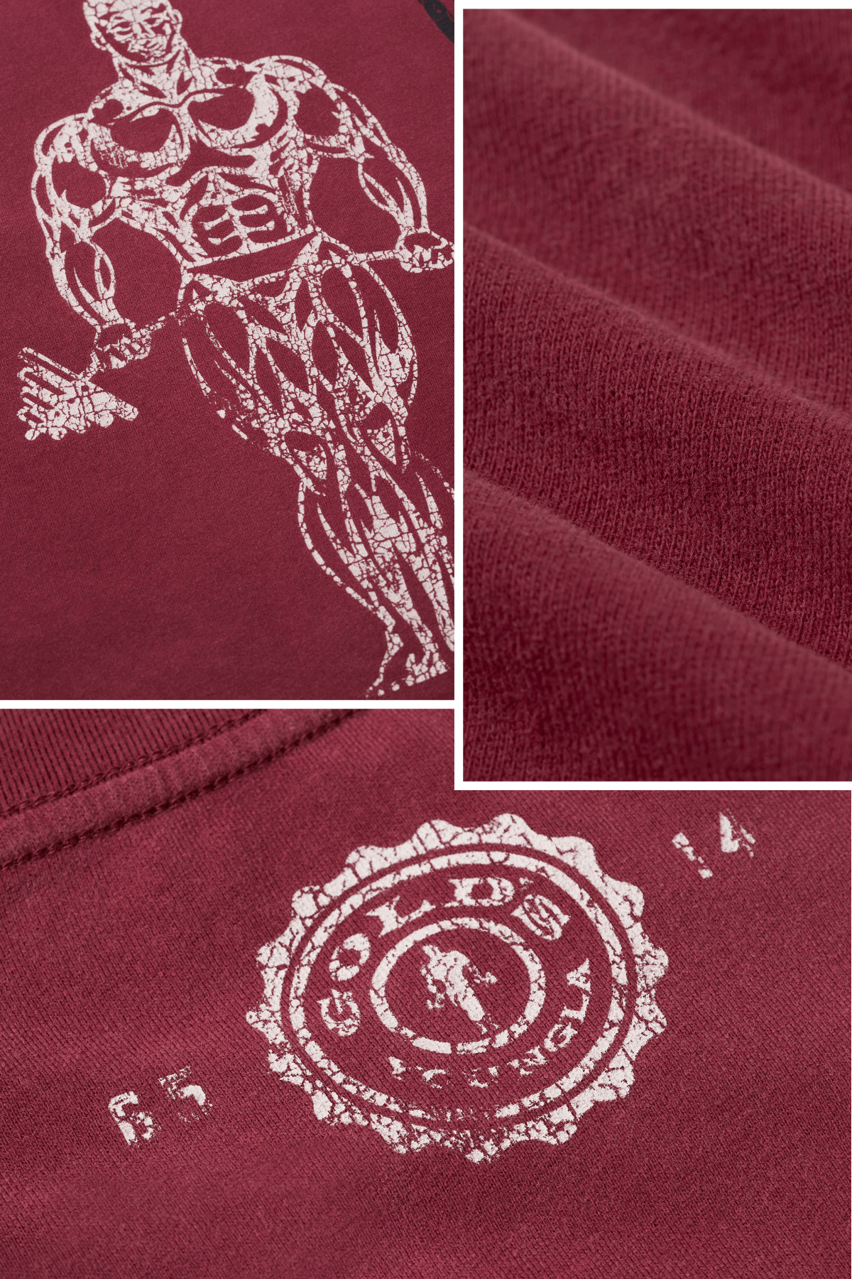 YoungLA 4213 - Gold's Iron Legacy Icon Tees 'Burgundy'