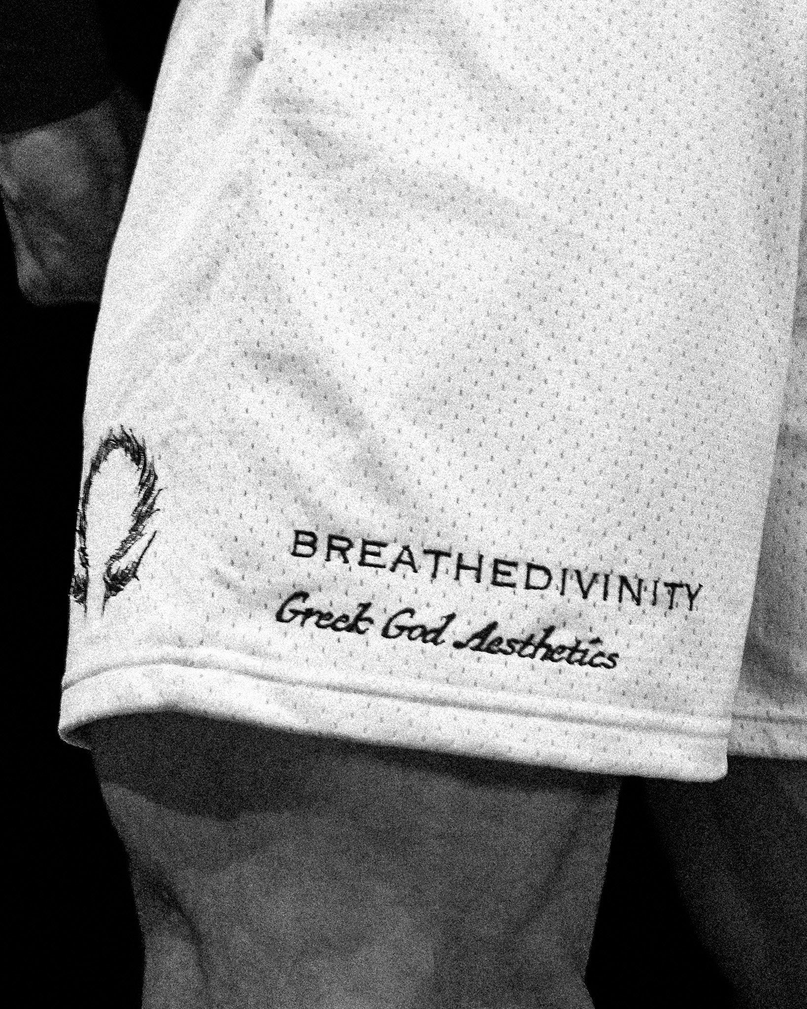 Breathe Divinity Mens Embroidery Bodybuilding Mesh Shorts [DIVINE WHITE]