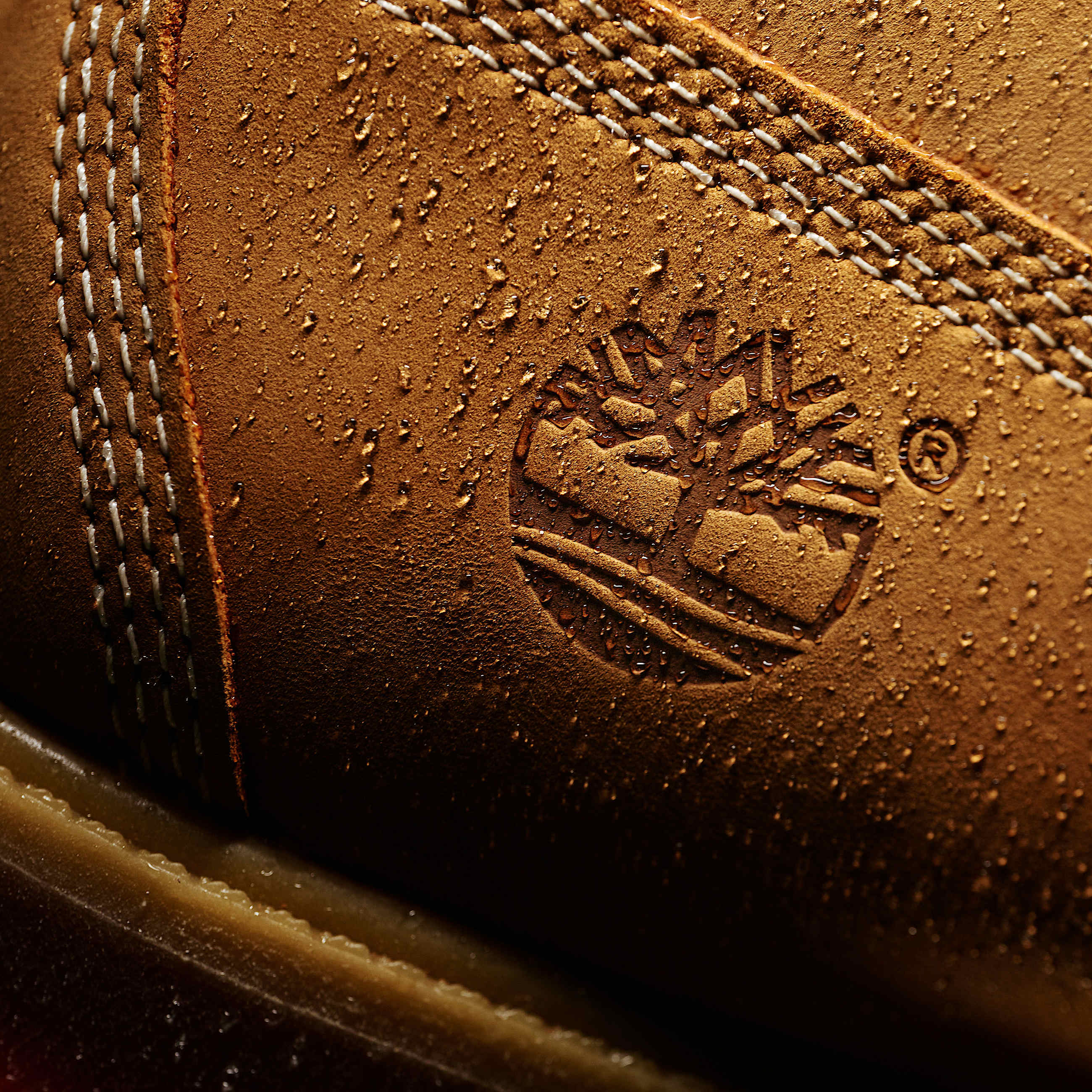 Timberland 6" Premium Waterproof 'Wheat'