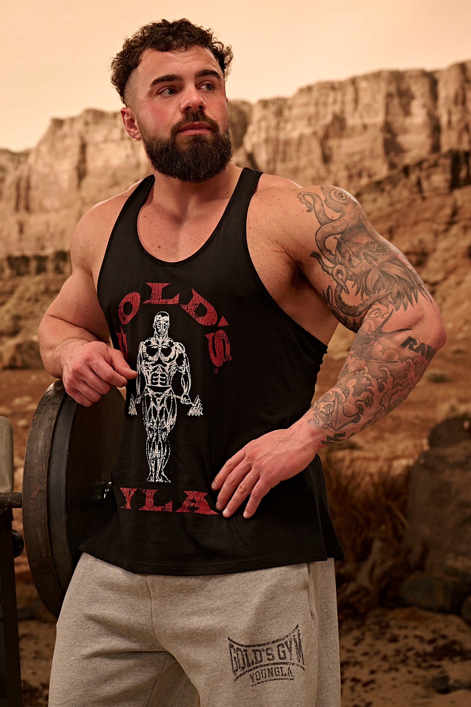 YoungLA 3003 - Gold's Iron Legacy Icon Stringers 'Black'