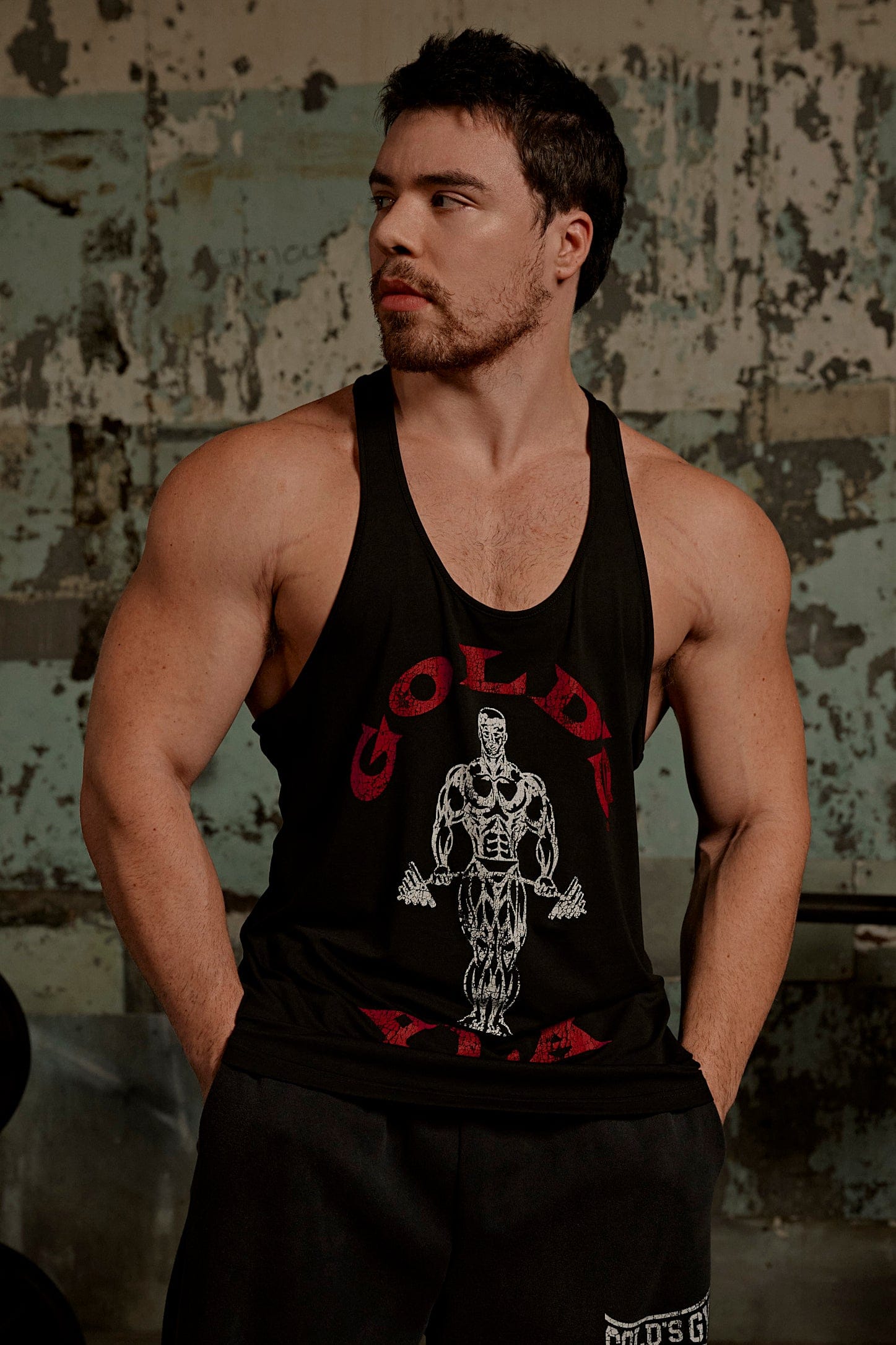 YoungLA 3003 - Gold's Iron Legacy Icon Stringers 'Black'