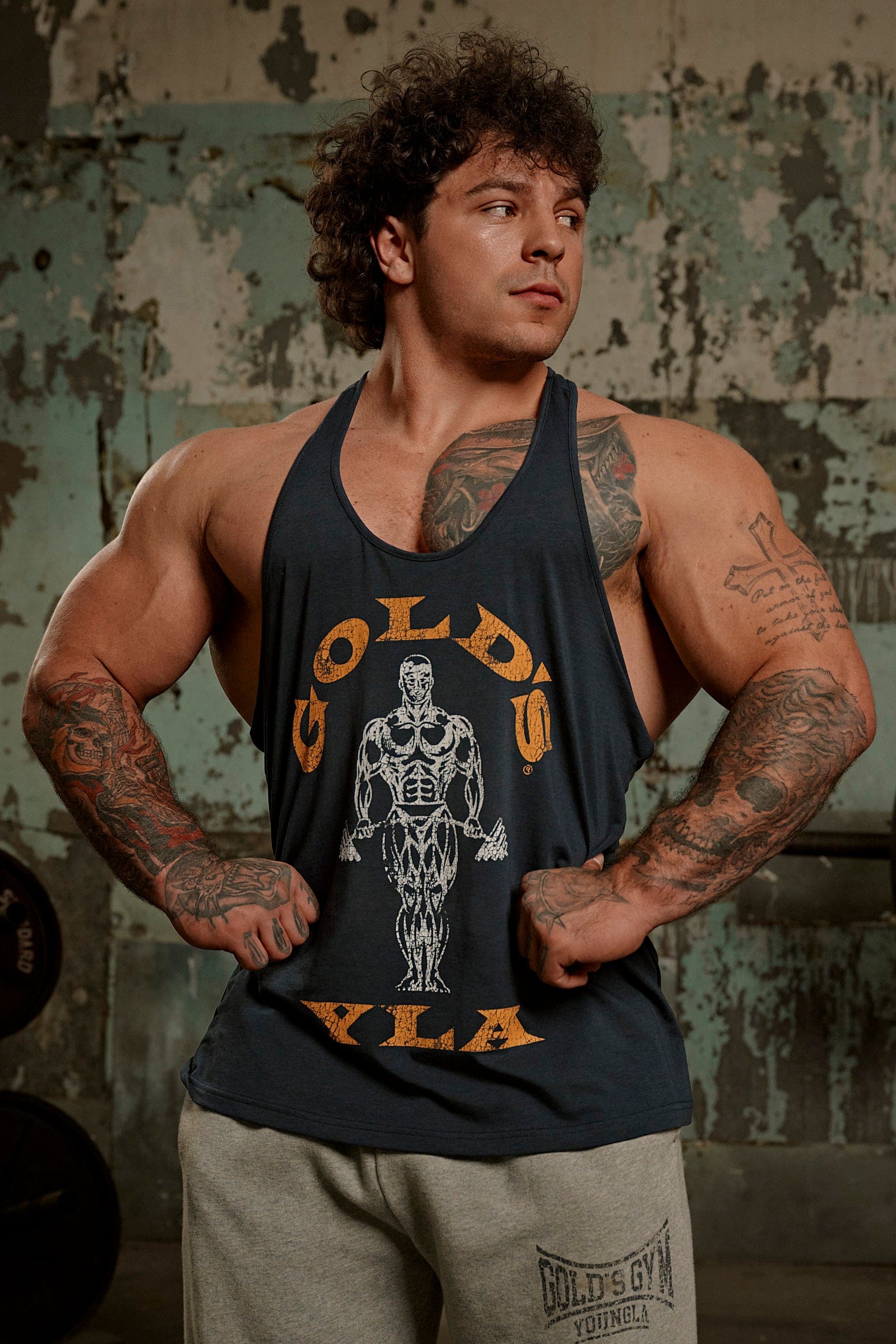 YoungLA 3003 - Gold's Iron Legacy Icon Stringers 'Navy'