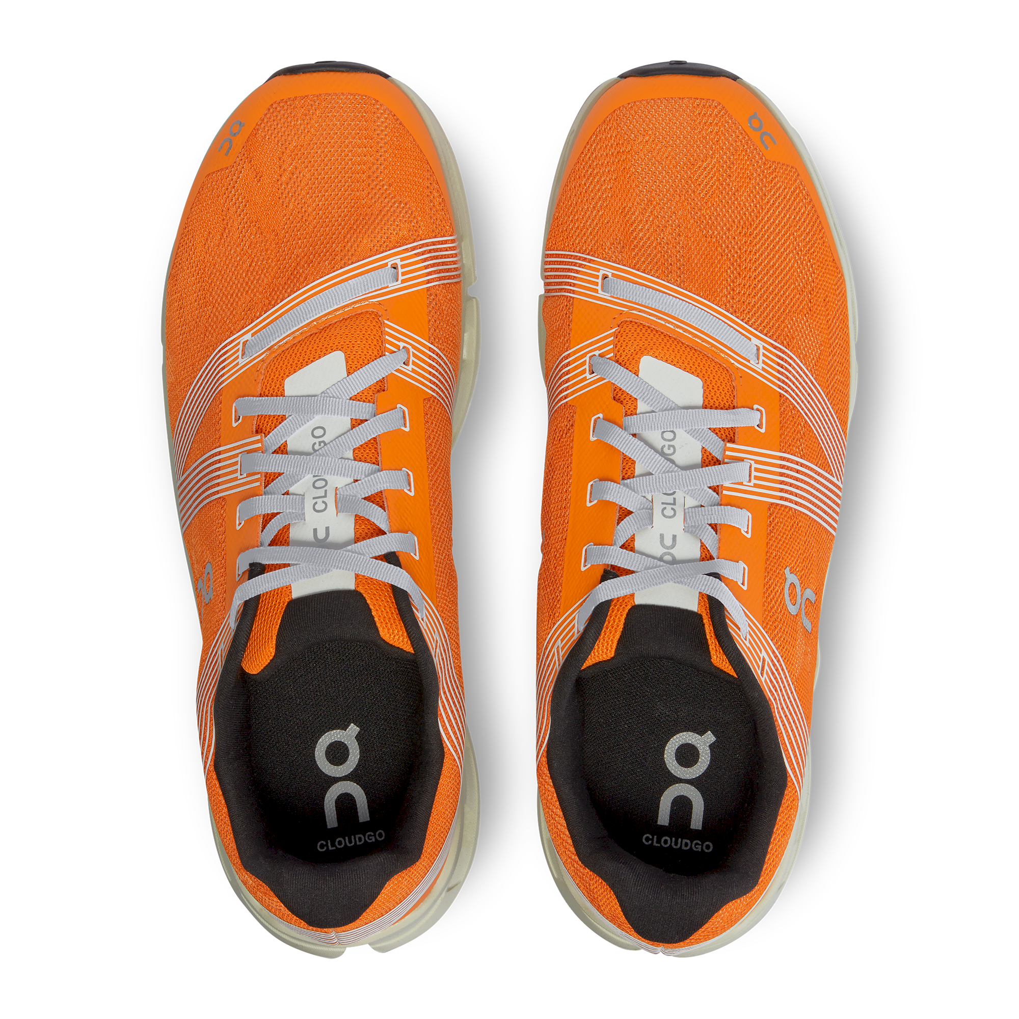 Cloudgo Turmeric | Aloe M