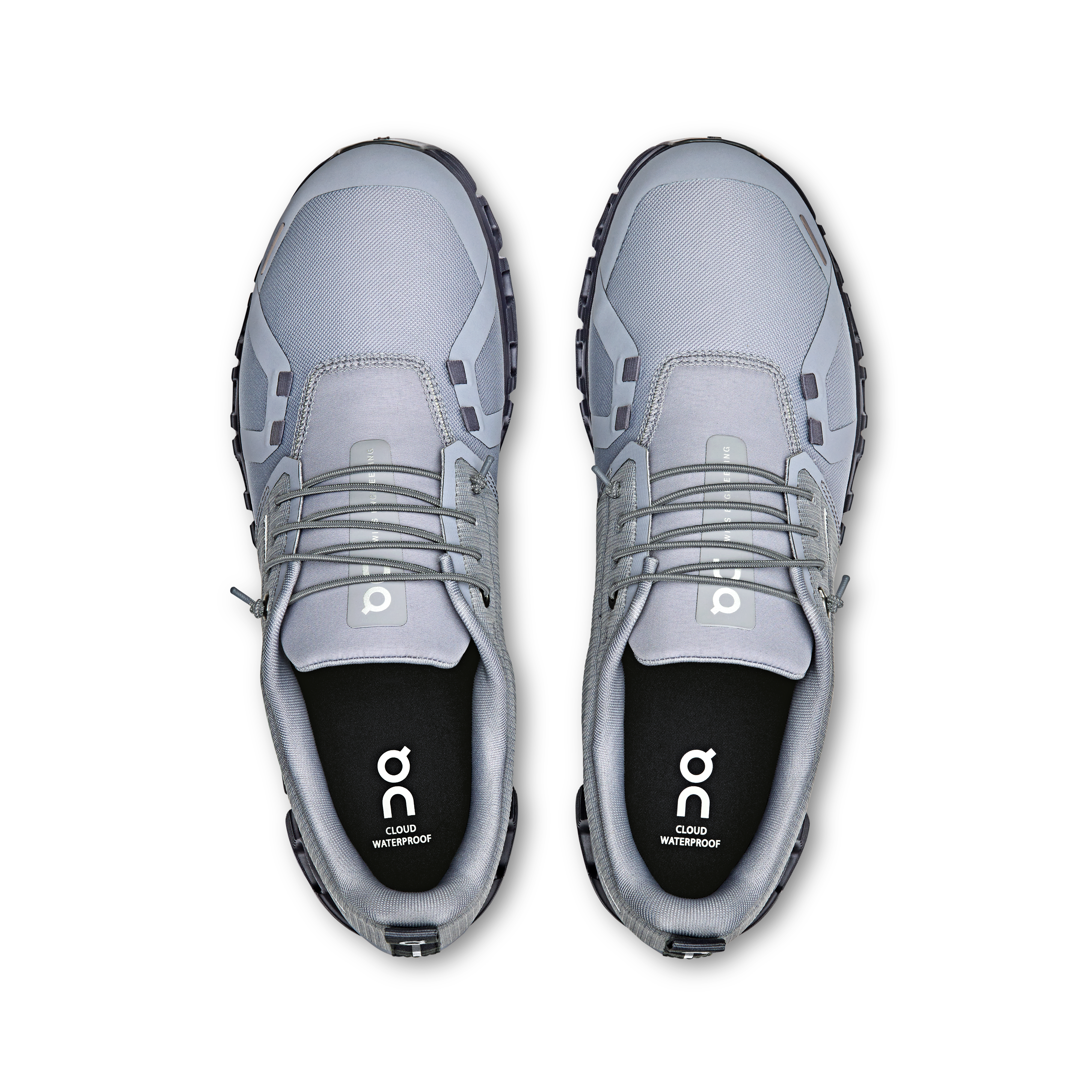 Cloud 6 WP M Alloy | Wolf