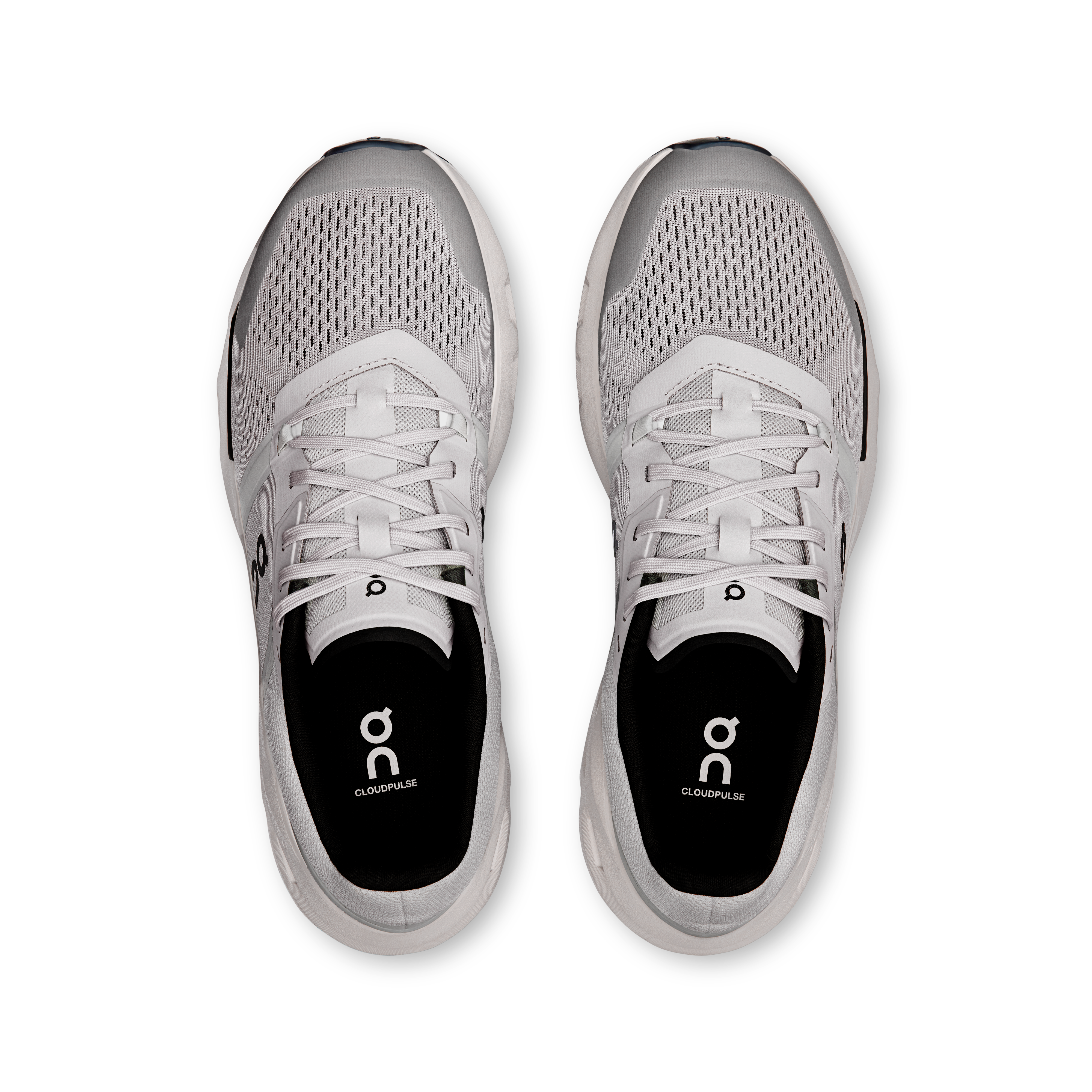 Cloudpulse 1 M Wolf | Black