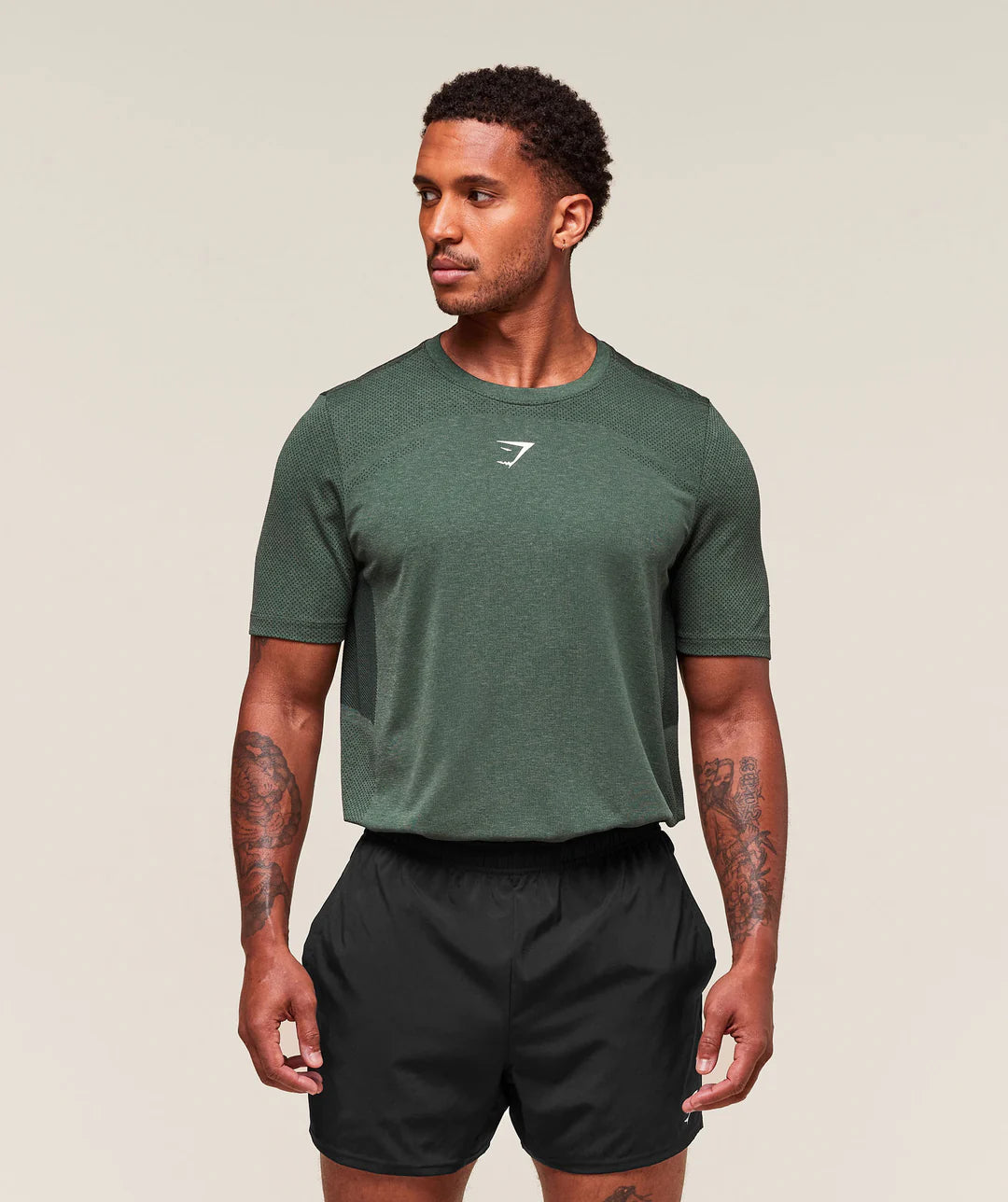Gymshark Lightweight Seamless T-Shirt 'Chalk Green/Base Green'