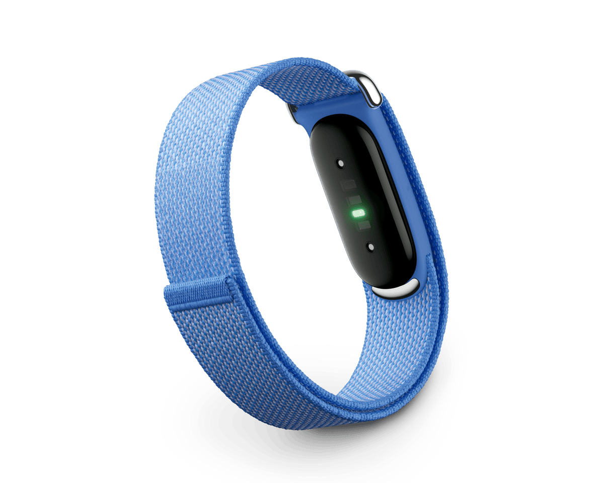 Google Fitbit Air 'Lavender'
