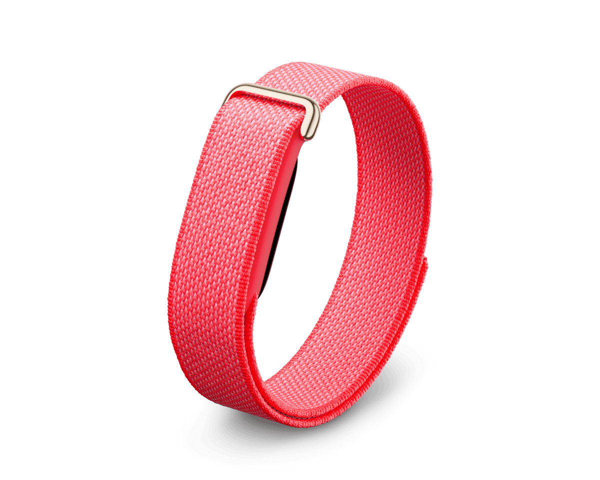 Google Fitbit Air 'Berry'