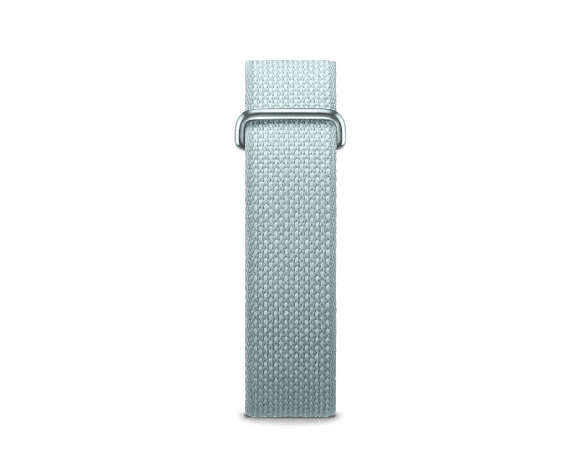Google Fitbit Air 'Fog'