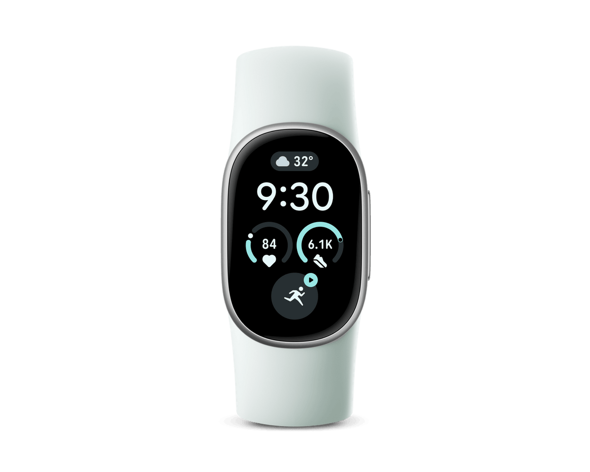Google Fitbit Edge 'Satin Silver Aluminum Case / Fog Active Band'